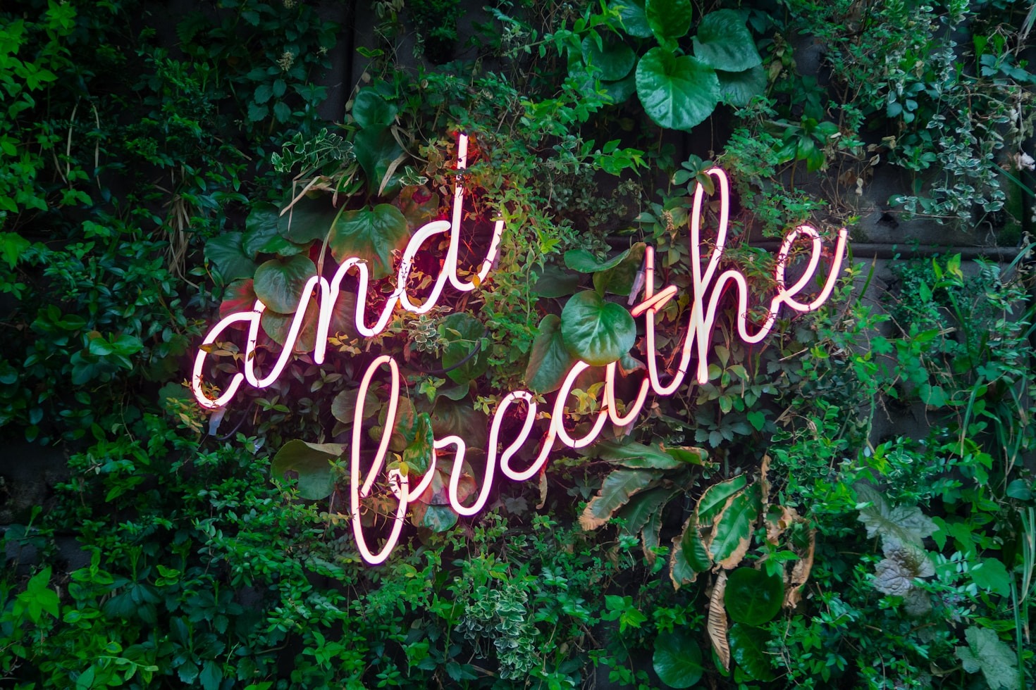 10 Tips for Cultivating Daily Mindfulness