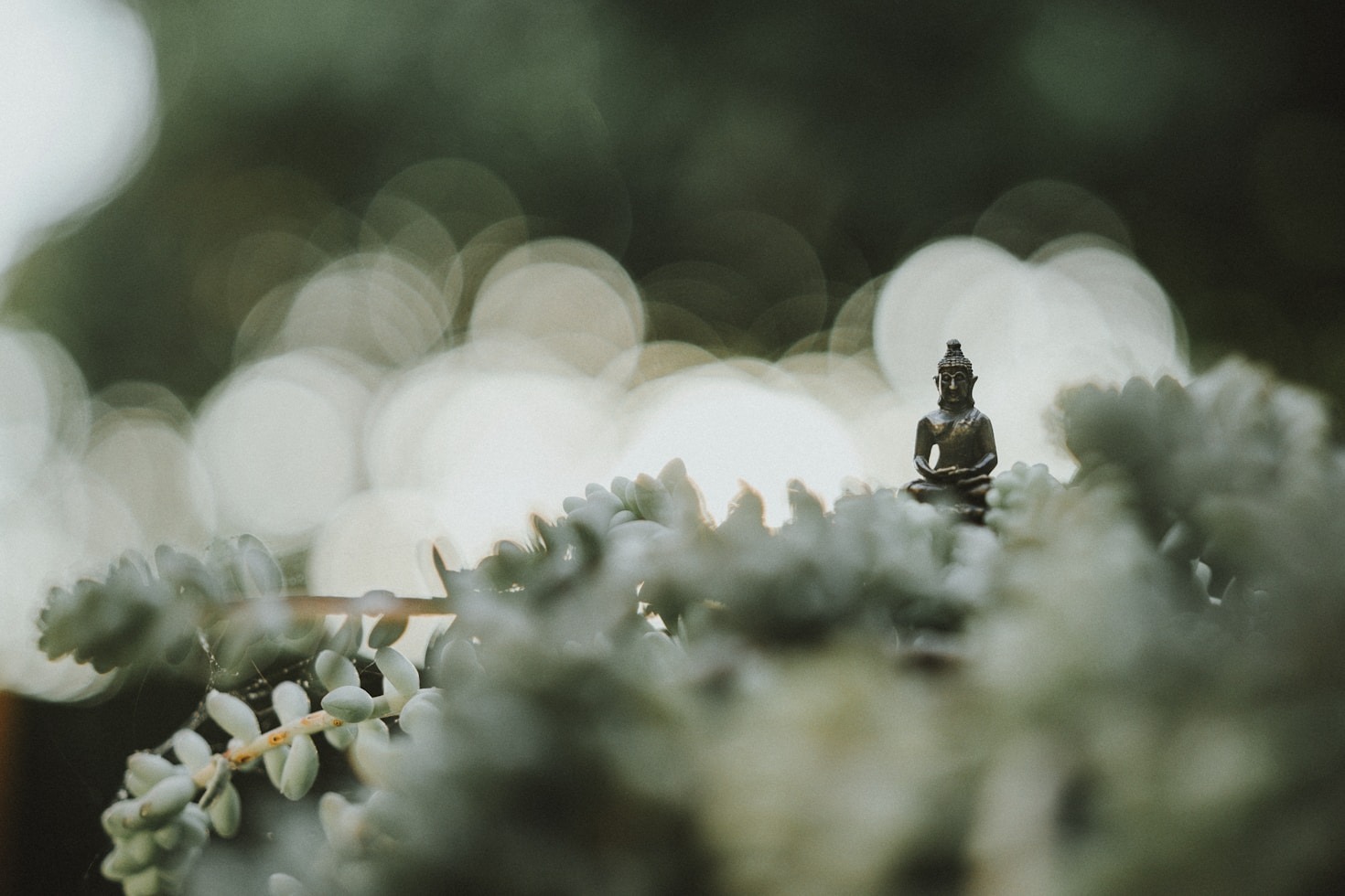 Mindful Practices to Soothe a Busy Mind